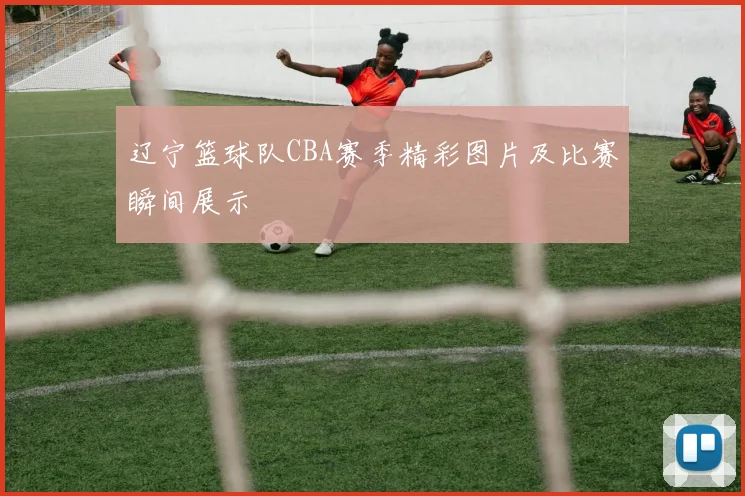 辽宁篮球队CBA赛季精彩图片及比赛瞬间展示